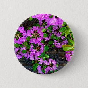 Elegant pink florals pink azaleas pink flowers 2 inch round button