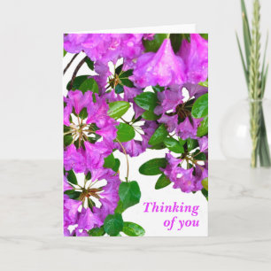 Elegant pink florals pink azaleas pink flowers card