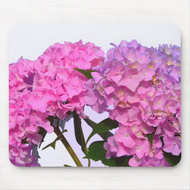Elegant pink flowers pink hydraeas mouse pad (Front)