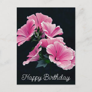 Elegant Pink Hollyhock Mallow Malva Flower Postcard