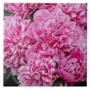 Elegant Pink peony, aesthetic floral photo Tile