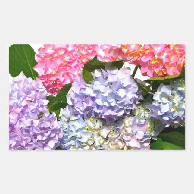 Elegant pink purple blue floral hydrangea bouquet sticker (Front)