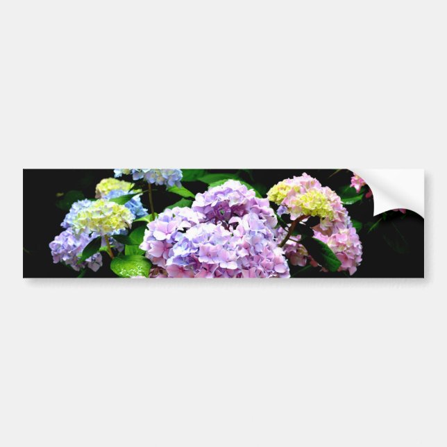 Elegant pink purple blue floral hydrangea gardens  bumper sticker (Front)