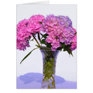 Elegant pink purple floral hydrangeas