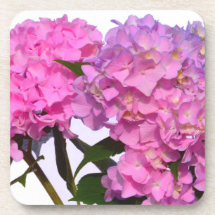 Elegant pink purple floral hydrangeas  coaster