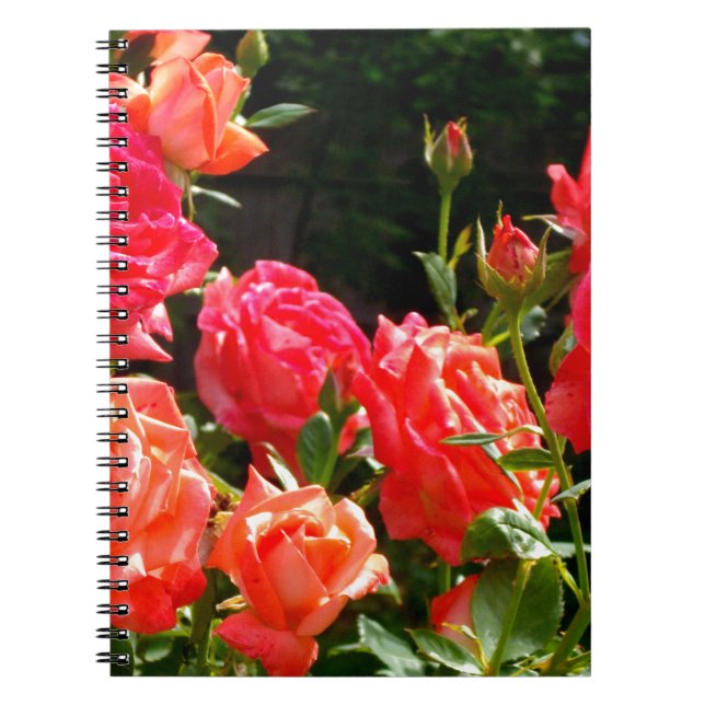 Elegant pink red orange floral roses notebook (Front)