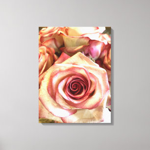 Elegant Pink Rimmed White Roses Photo Canvas Wall Print