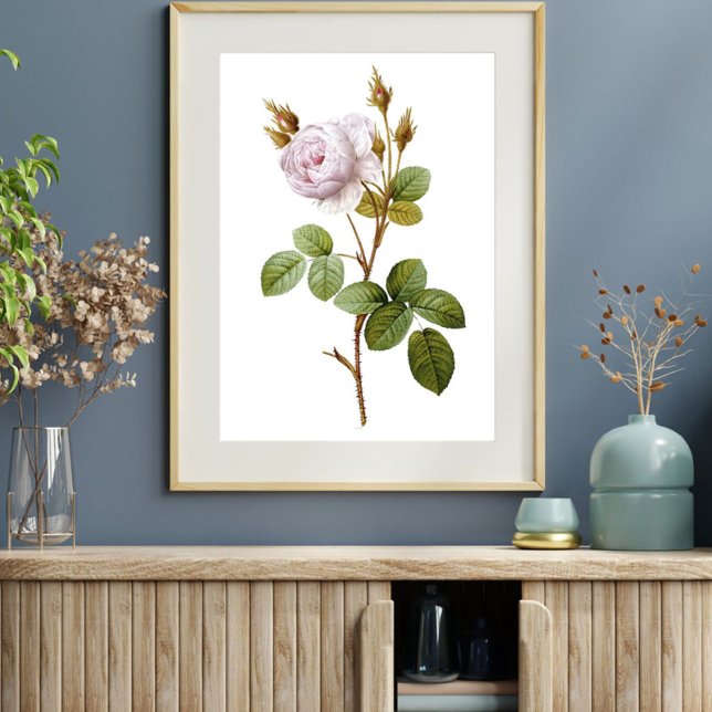 Elegant Pink Rose Botanical Printable Poster (Creator Uploaded)