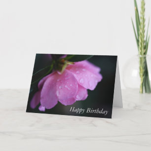 Elegant Pink Rose Close Up w/ Dew Happy Birthday C Card