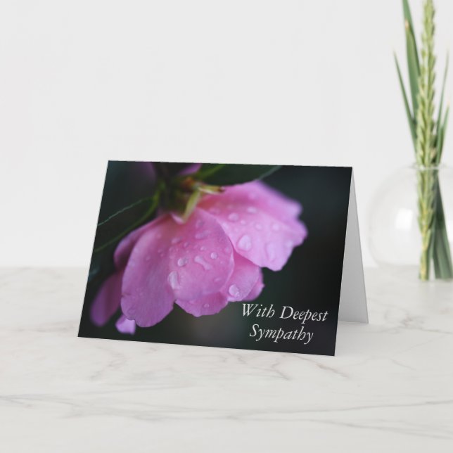 Elegant Pink Rose Close Up w/ Dew Sympathy Card (Front)
