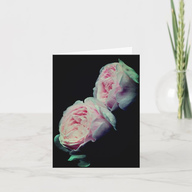 Elegant Pink Roses Flower Photography Note Card (Front)