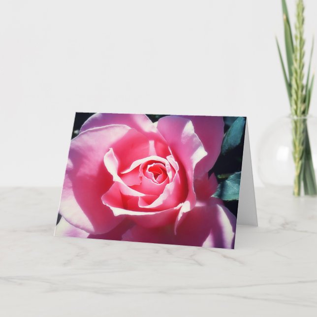 Elegant Pink Roses Valentine Card (Front)