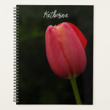 Elegant Pink Tulip Photo Script Personalized