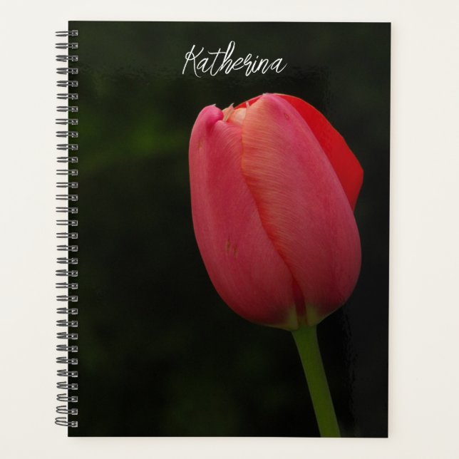 Elegant Pink Tulip Photo Script Personalized  Planner (Front)