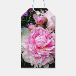 Elegant pink white floral flowers peonies gift tags