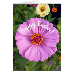 Elegant Pink Zinnia Flower Easter Card
