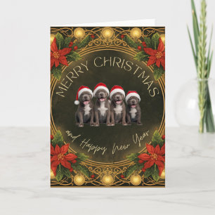 Elegant Poinsettia Gold Filigree and Lights Card