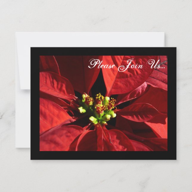 Elégant Poinsettia Invitations de Noël de Noël de  (Devant)