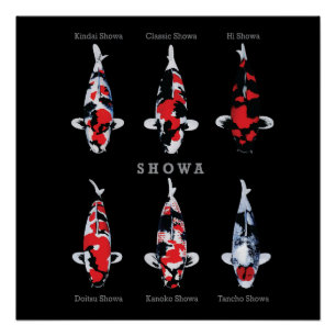 Elégant Poster de Poisson Koi - Déco Artistique et