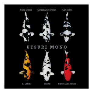 Elégant Poster de Poisson Koi - Déco Artistique et