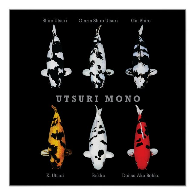Elégant Poster de Poisson Koi - Déco Artistique et (Devant)