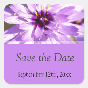 Elegant, pretty purple daisy flower save the date square sticker