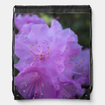elegant, pretty spring purple azalea flowers.