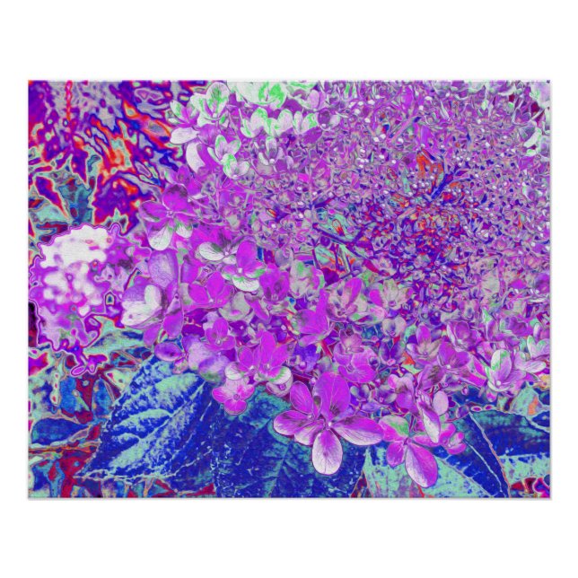 Elegant Purple and Blue Limelight Hydrangea Poster (Front)