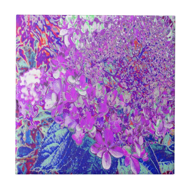 Elegant Purple and Blue Limelight Hydrangea Tile (Front)