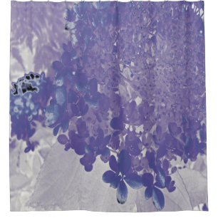 Elegant Purple and Grey Limelight Hydrangea