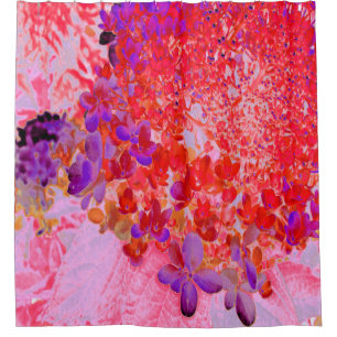 Elegant Purple and Orange Limelight Hydrangea