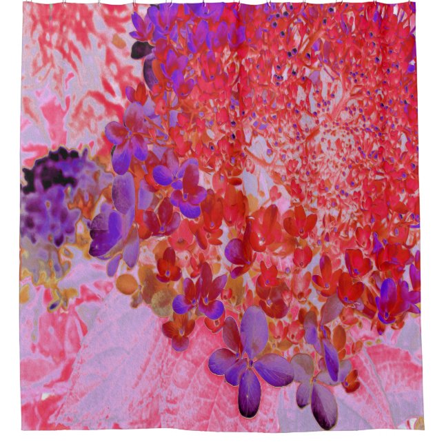 Elegant Purple and Orange Limelight Hydrangea (Front)