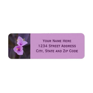 Elegant Purple Blossoms Photo