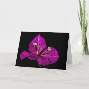 Elegant Purple Bougainvillea Card