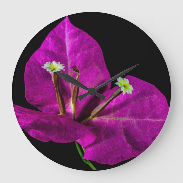 Elegant Purple Bougainvillea Large Clock (Front)
