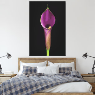 Elegant Purple Calla Lily Illustration Canvas Print