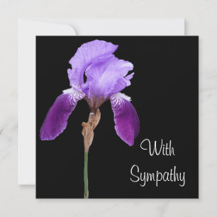 Elegant purple iris flower fine art lilac sympathy card