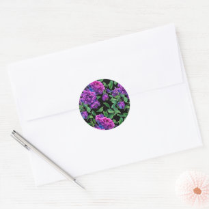 Elegant purple magenta watercolor florals flowers  classic round sticker