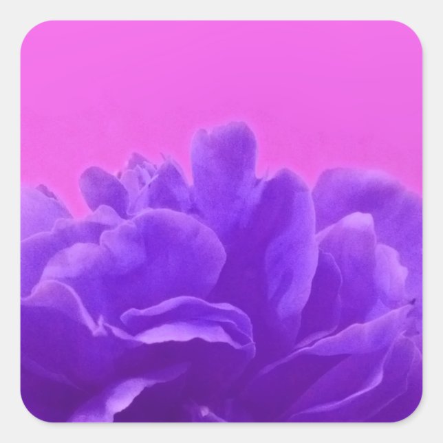 Elegant Purple Raspberry Floral Square Sticker (Front)