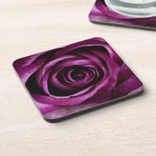 Elegant Purple Rose Close Up Coaster