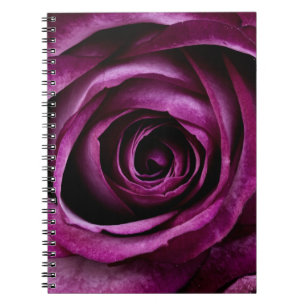 Elegant Purple Rose Close Up Notebook