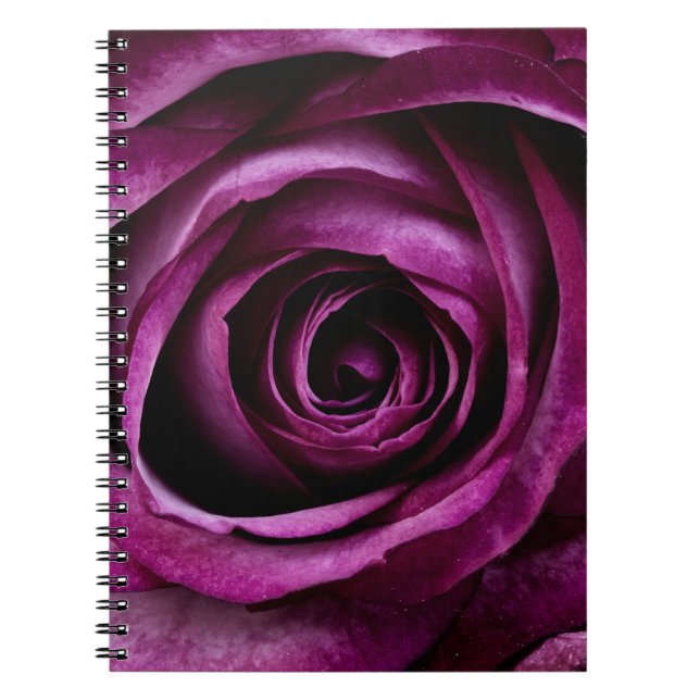 Elegant Purple Rose Close Up Notebook (Front)