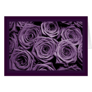 Elegant Purple Roses Valentine's