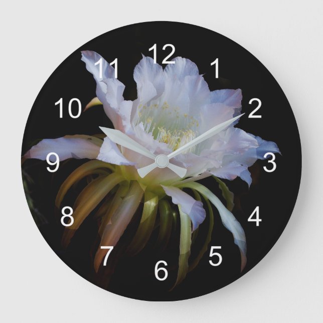 Elegant Queen of the Night Cactus Flower Large Clock (Front)