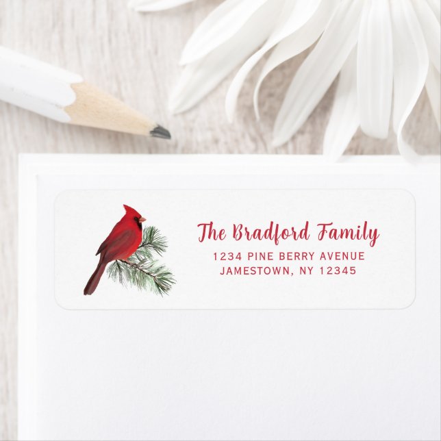 Elegant Red Cardinal Bird Christmas Holiday (Insitu)
