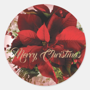 Elegant Red Christmas Poinsettia Classic Round Sticker