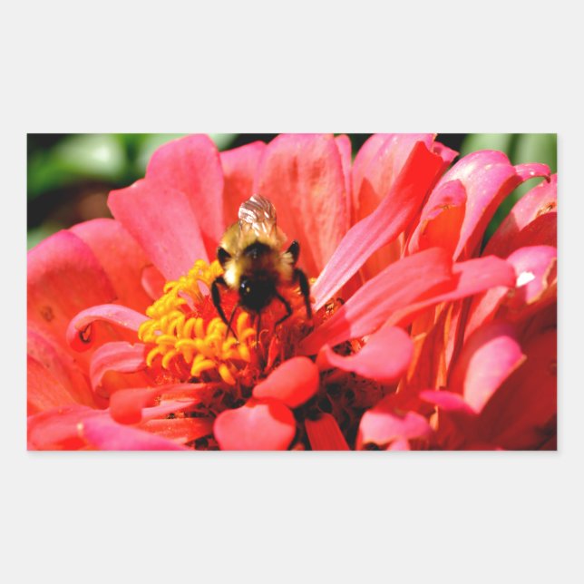 Elegant red coral floral cute bumble bee sticker (Front)