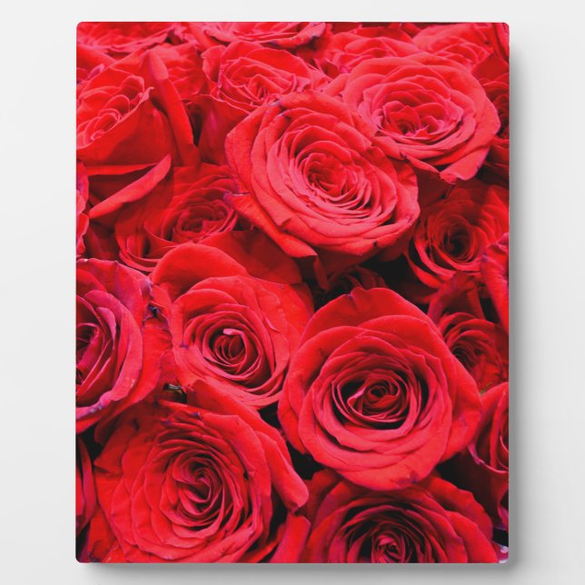 Elegant red floral flowers Red Roses rose garden Plaque (Front)