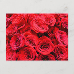 Elegant red floral flowers roses postcard