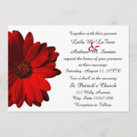 Elegant Red Gerbera Daisy Wedding Invitation